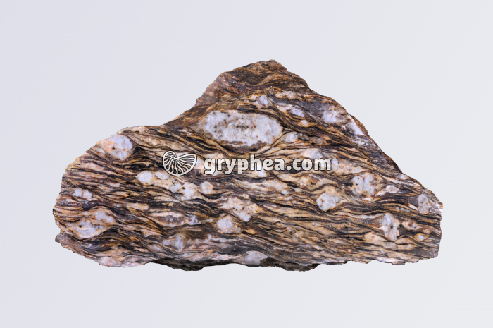 Gneiss oeillé - échantillon - gryphea.com